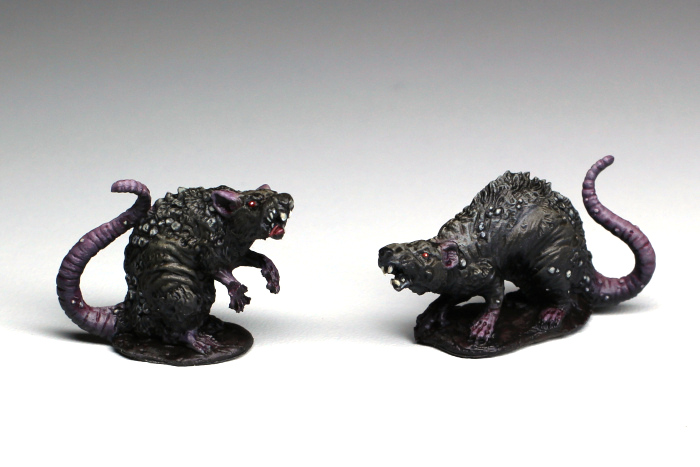 26. 1. 2024 - Páreček